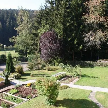Apartment With Balcony In The Black Forest