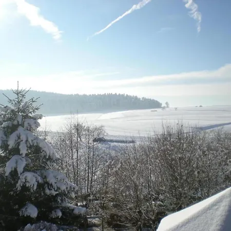With Balcony In The Black Forest Apartment *