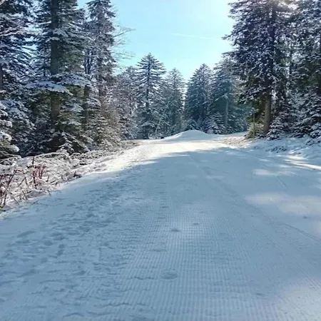 With Balcony In The Black Forest Waldachtal