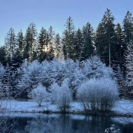 With Balcony In The Black Forest * Waldachtal