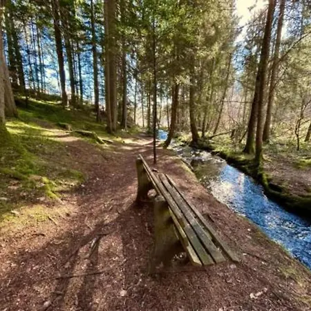 Apartment With Balcony In The Black Forest