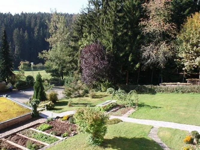 Apartman With Balcony In The Black Forest