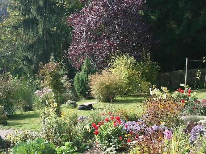 With Balcony In The Black Forest * Waldachtal