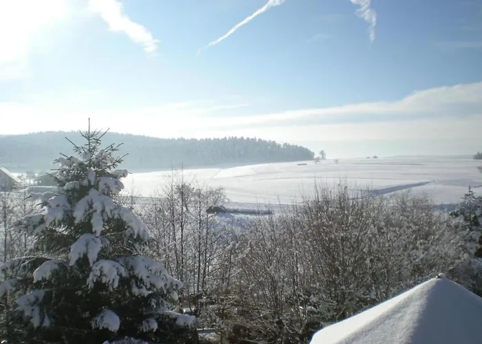 With Balcony In The Black Forest Apartman *