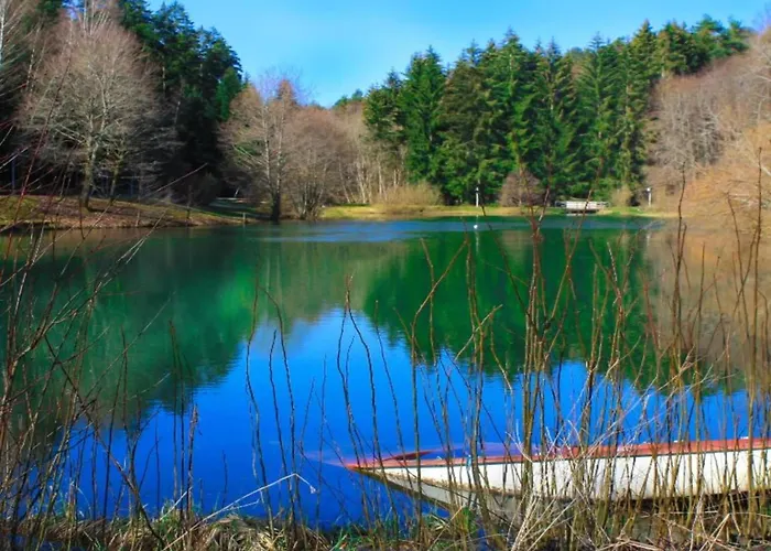 With Balcony In The Black Forest Apartman Waldachtal