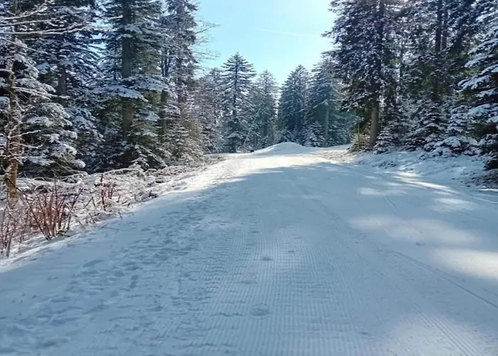 With Balcony In The Black Forest Waldachtal