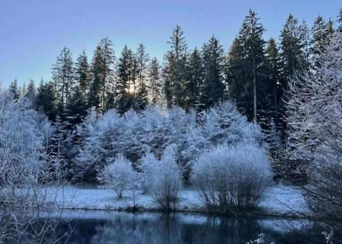 With Balcony In The Black Forest * Waldachtal