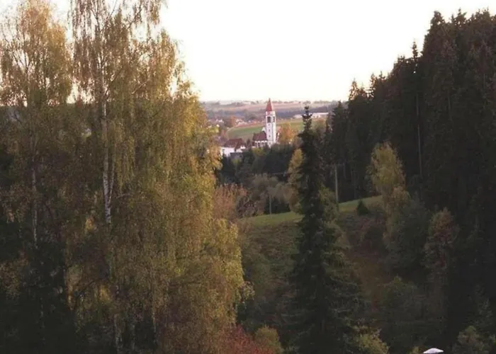 Apartman With Balcony In The Black Forest