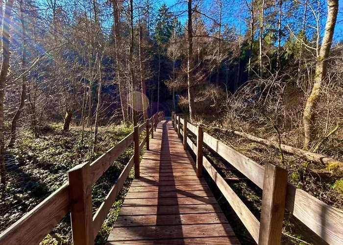 Apartman With Balcony In The Black Forest Waldachtal