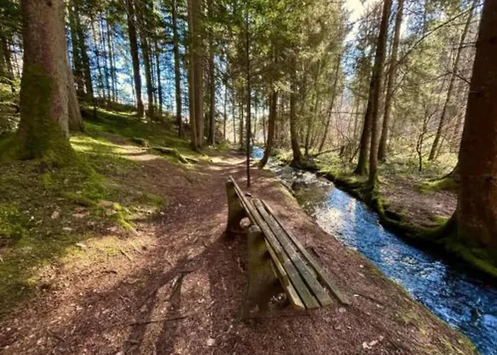Apartman With Balcony In The Black Forest