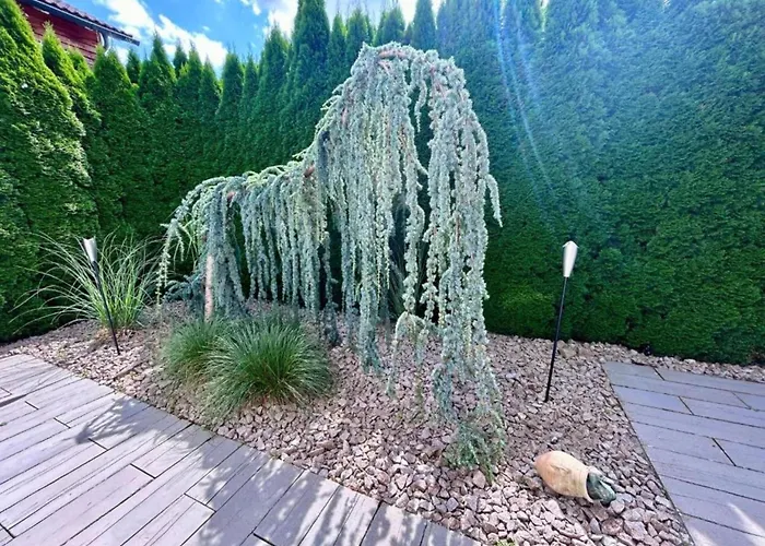 Apartman With Balcony In The Black Forest *